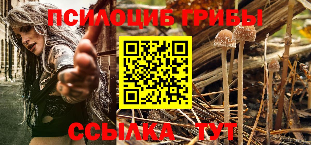 Галлюциногенные грибы мицелий Добрянка