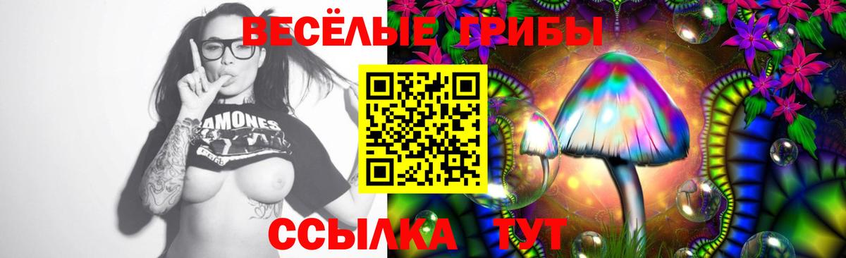 Псилоцибиновые грибы GOLDEN TEACHER  Вход с VPN  Добрянка  Галлюциногенные грибы Cubensis 